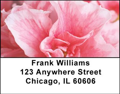 Azalea Gardens Address Labels | LBNAT-17