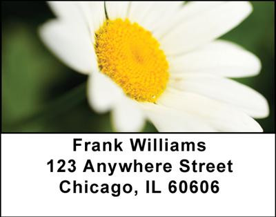She Loves Me Address Labels | LBNAT-20