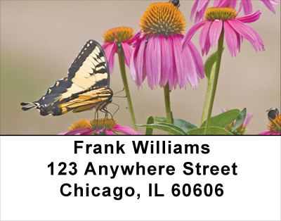Brown Eyed Susans With Butterfly Address Labels | LBNAT-38