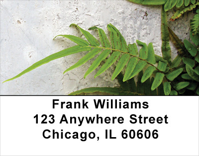 Fern On Walls Address Labels | LBNAT-46