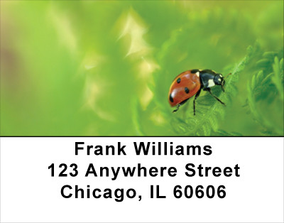Fern With Insects Address Labels | LBNAT-49