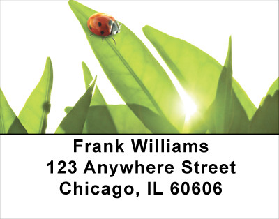 Enchanted Greenery Address Labels | LBNAT-51