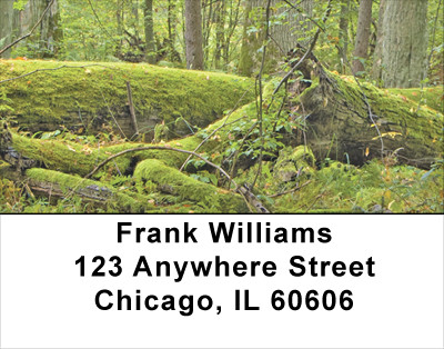 Mossy Oak Address Labels | LBNAT-53