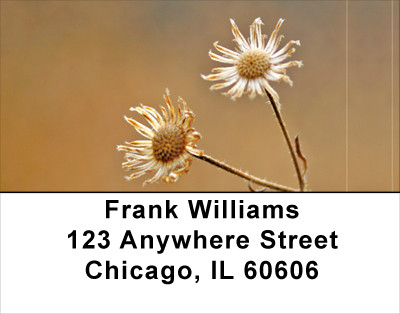 Dried Flowers Address Labels | LBNAT-57