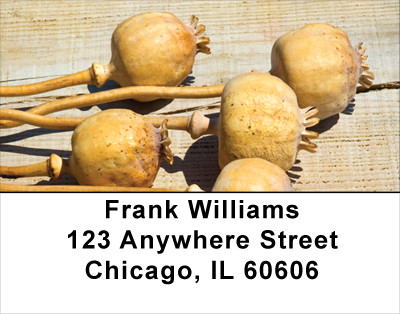 Dried Seed Pods and Flowers Address Labels | LBNAT-58