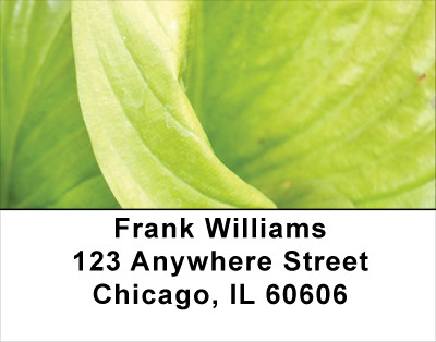 Foliage Abstract Address Labels | LBNAT-60