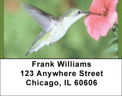 Nummingbird Haven Address Labels | LBQBA-41