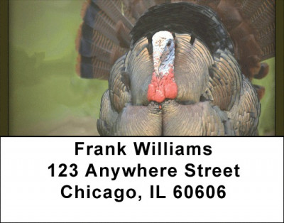 Happy Endings Address Labels | LBQBA-67