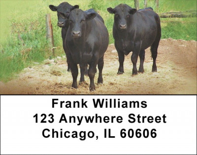 Black Angus Cattle Address Labels | LBQBB-08