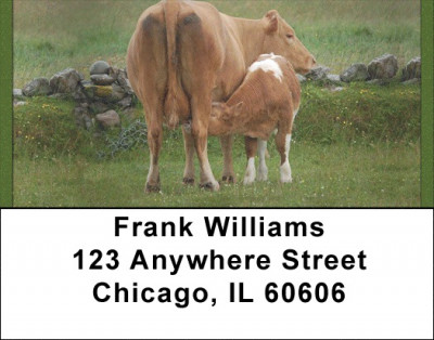 Cows With Calves Address Labels | LBQBB-10