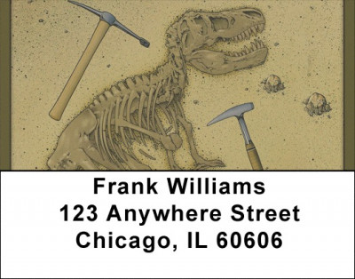 Diggin Dinosaurs Address Labels | LBQBB-22