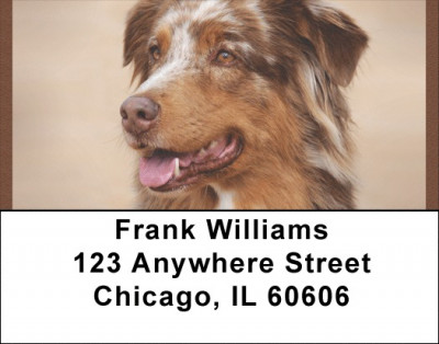 Australian Shepherd Address Labels | LBQBB-23