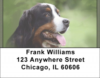 Bernese Mountain Dogs Address Labels | LBQBB-25