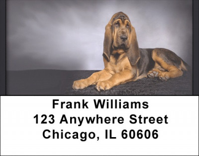 Bloodhounds Address Labels | LBQBB-28