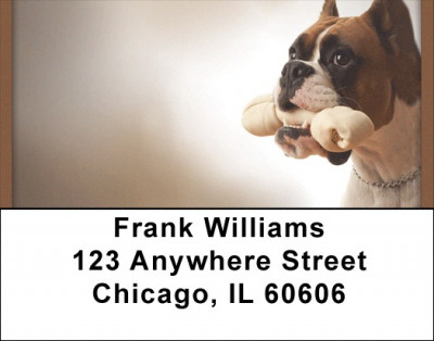 Boxer Fun Address Labels | LBQBB-30