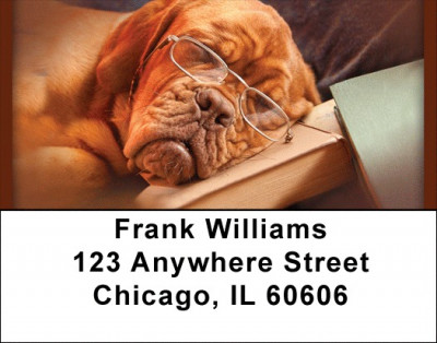 Teaching An Old Dog Address Labels | LBQBB-31