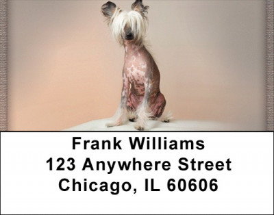 Chinese Crested Address Labels | LBQBB-40