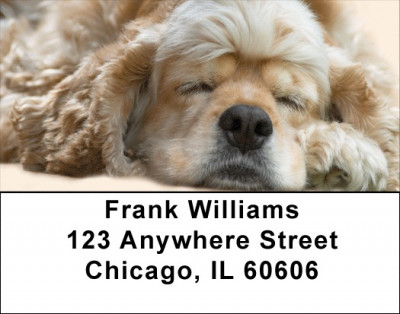 Sleeping Cocker Spaniel Address Labels | LBQBB-41