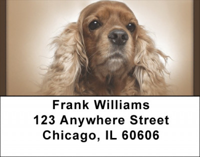 English Cocker Spaniel Address Labels | LBQBB-52