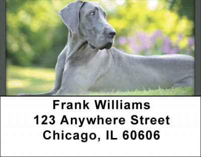 Blue Great Dane Address Labels | LBQBB-59