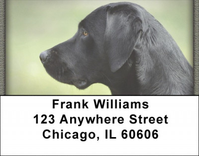 Black Labs Address Labels | LBQBB-66