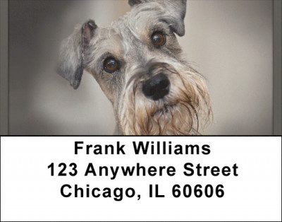 Miniature Schnauzers Address Labels | LBQBB-75