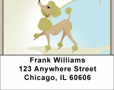 Absolute Divas Address Labels | LBQBB-88