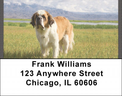 Saint Bernards Address Labels | LBQBB-91
