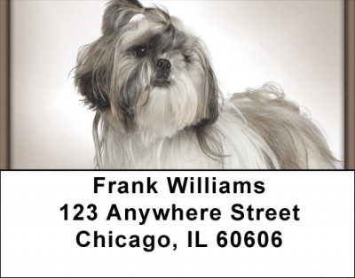 Shih Tzu Portraits Address Labels | LBQBB-95
