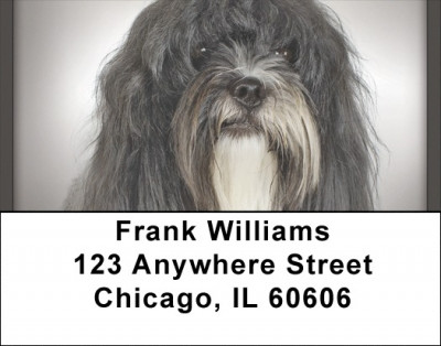 Tibetan Terriers Address Labels | LBQBB-99