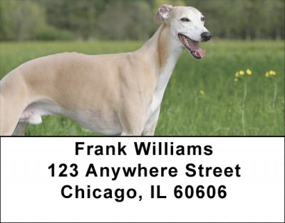 Whippets Address Labels | LBQBC-01