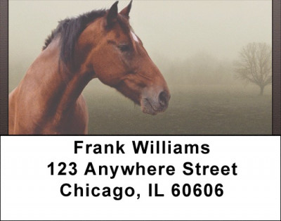 Horse Portraits Address Labels | LBQBC-65