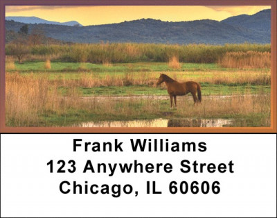 Sunset In The Foothills Address Labels | LBQBC-71