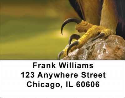 Eagle Talon Address Labels | LBQBJ-09