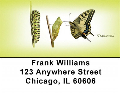 Transcend Address Labels | LBQBJ-26