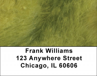 Green Softness Address Labels | LBQBM-40