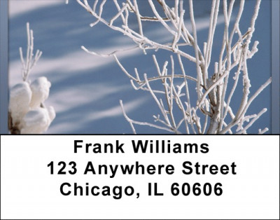Winter Frost Address Labels | LBQBP-81