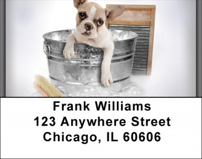 Boxer Bathtime Address Labels | LBQBR-33
