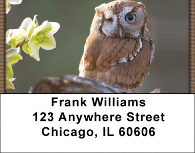 Owl Portraits Address Labels | LBQBR-74