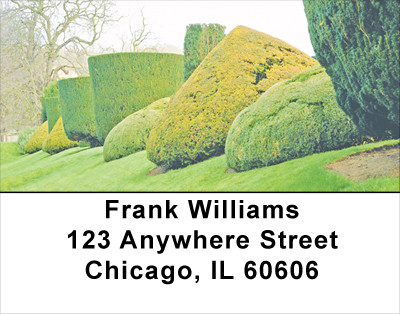 Dreamy Topiary Gardens Address Labels | LBSCE-12