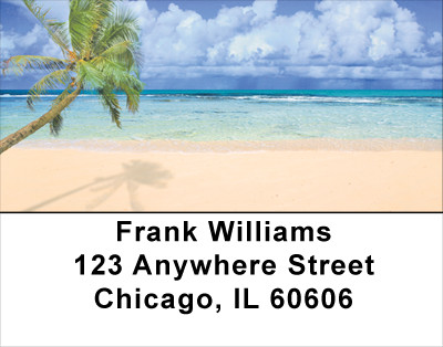 Palm Tree Paradise Address Labels | LBSCE-22