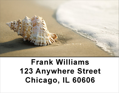 Sand and Shells Address Labels | LBSCE-24