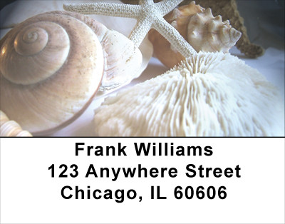 Beach Treasures Address Labels | LBSCE-26
