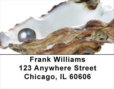 Pearly Shells Address Labels | LBSCE-28