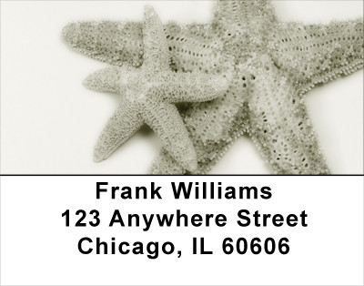 Shells In Taupes and Sage Address Labels | LBSCE-30