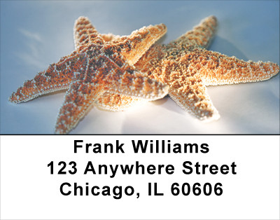 Waves N Things Address Labels | LBSCE-33