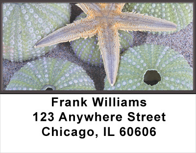 Seashells By The Seashore Address Labels | LBSCE-63