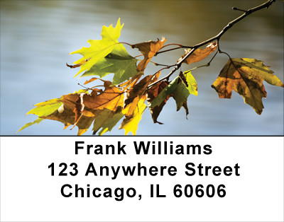Falling Leaves On Water Address Labels | LBSCE-64