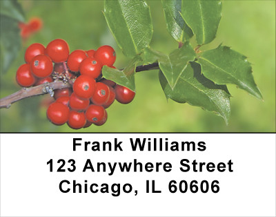 Holly With Greenery Address Labels | LBXMS-03