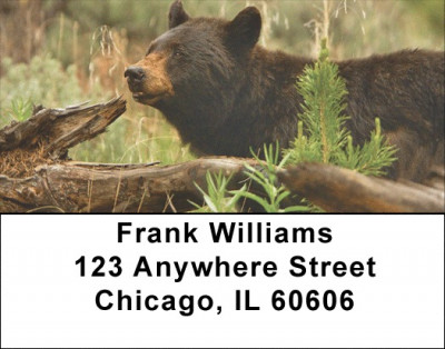 Black Bear Cubs Address Labels | LBZANI-44